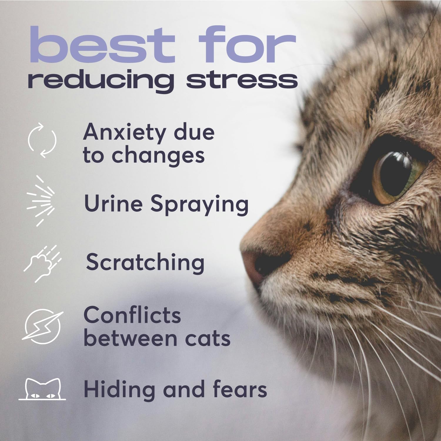 BUDDYJOY® Cat Calming Diffuser Refills – Long-Lasting 30-Day Formula with Pheromones for Stress Relief, Relaxation, and Anxiety Reduction in Cats Easy to Use – (6 Refills)