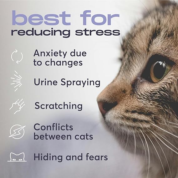 Bundle - 1 Diffuser + 5 Refills - For cats